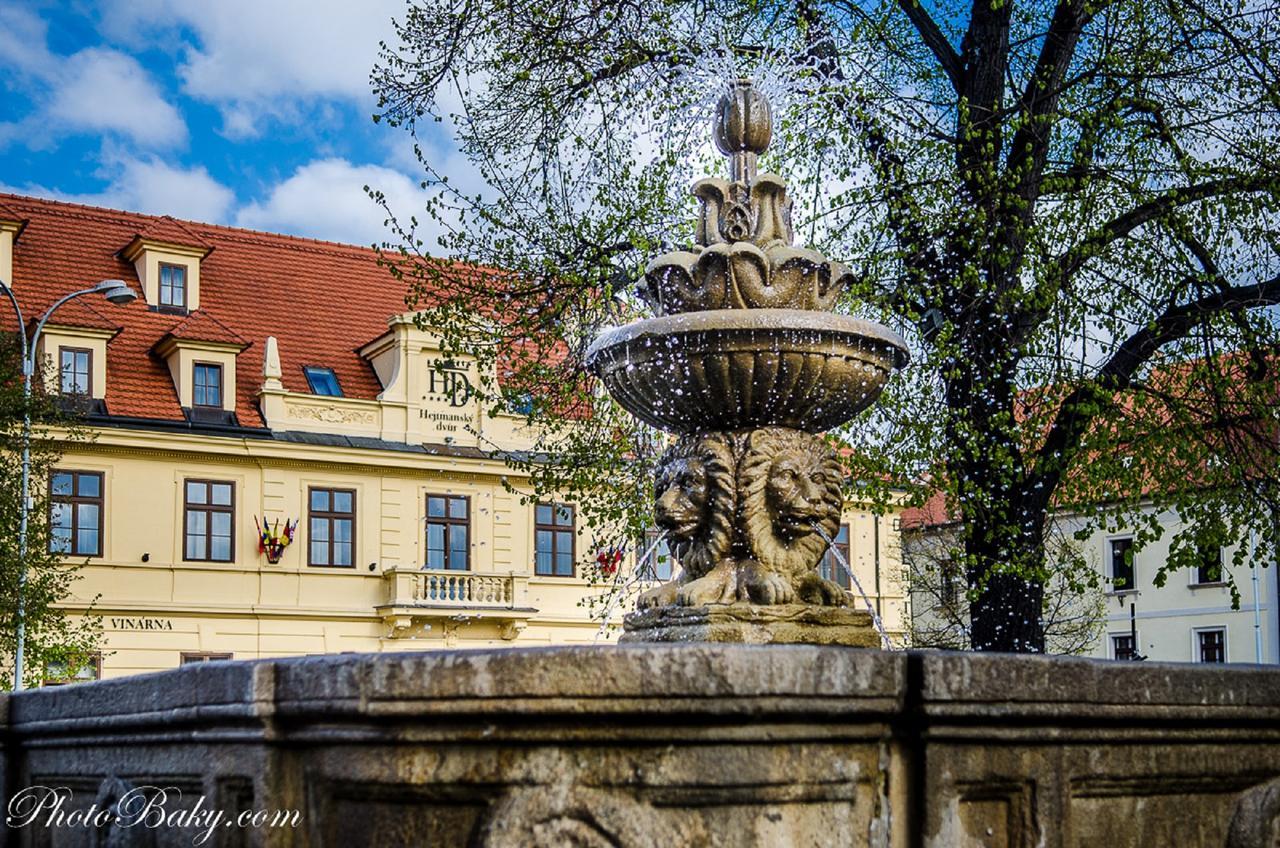 Hejtmansky Dvur Hotel Slaný Exterior foto